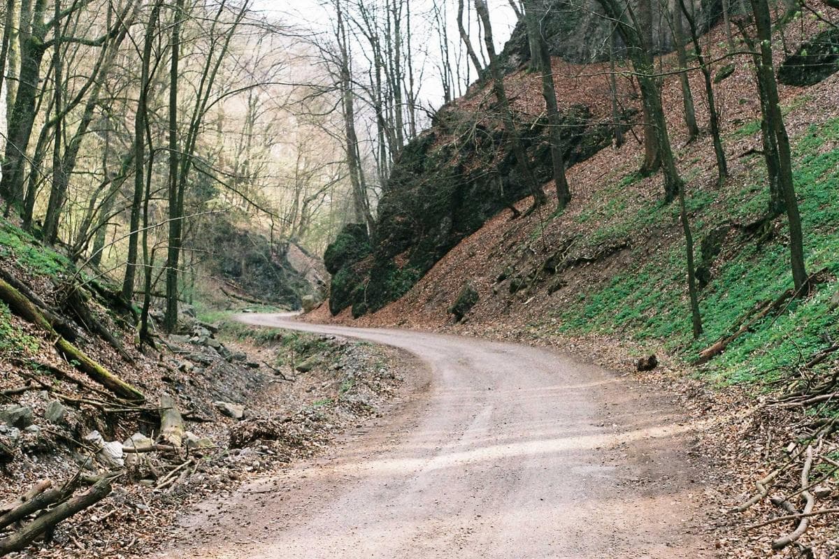Thumbnail of Warm Wood Cove Cabin